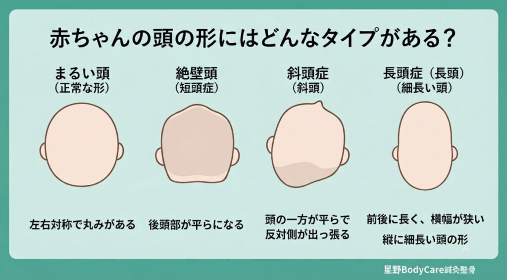 赤ちゃんの頭の形の違いを説明するイメージ